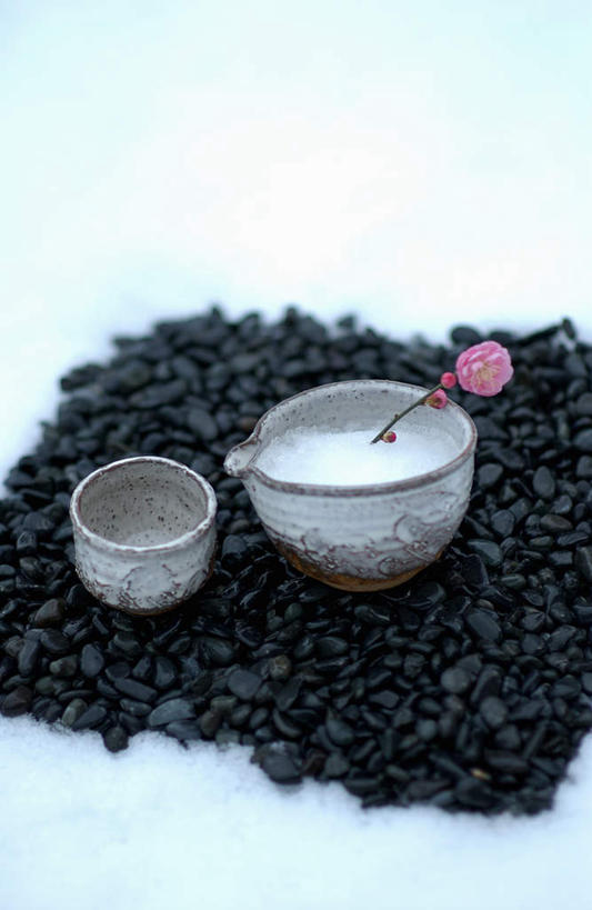 无人,竖图,室外,白天,正面,石头,雪,大雪,餐具,盛开,石子,积雪,雪景,冬季,冬天,梅花,花蕾,花,花瓣,花朵,鲜花,一朵,碗,花苞,花蕊,鹅卵石,寒冷,严寒,石块,彩图