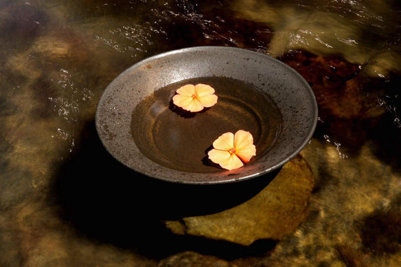 无人,横图,俯视,室外,特写,白天,幸福,石头,茶,杯子,盛开,石子,液体,茶叶,花蕾,娱乐,花,花瓣,花朵,鲜花,两朵,黄色,水杯,花苞,花蕊,享受,休闲,温馨,放松,乐趣,提神,舒适,醒脑,茶杯,石块,岩石,彩图,高角度拍摄