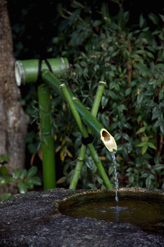 无人,竖图,室外,白天,正面,纯洁,水,植物,竹子,波纹,液体,池塘,水池,涟漪,饮用水,树,树木,绿色,倒影,水纹,自然,矿泉水,波浪,生长,成长,倒映,高雅,蒸馏水,水晕,奉献,质朴,正直,担当,反照,竹,彩图,奋进,操守,四君子,岁寒三友,性坚,虚怀,虚心,善群,卓尔