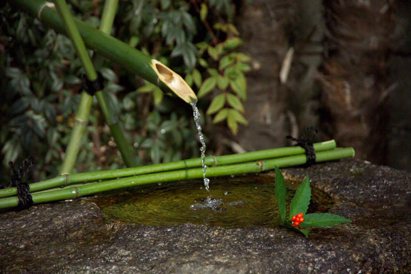 无人,横图,室外,白天,正面,纯洁,水,植物,竹子,波纹,盛开,液体,池塘,水池,涟漪,花蕾,饮用水,花,花瓣,花朵,鲜花,树,树木,一朵,红色,绿色,倒影,水纹,自然,矿泉水,波浪,花苞,花蕊,生长,成长,倒映,高雅,蒸馏水,水晕,奉献,质朴,正直,担当,反照,竹,彩图,奋进,操守,四君子,岁寒三友,性坚,虚怀,虚心,善群,卓尔