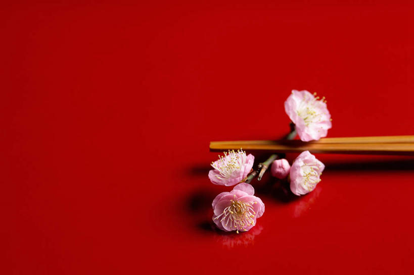 无人,横图,俯视,室内,特写,白天,筷子,餐具,红色背景,盛开,梅花,花蕾,文化,传统,花,花瓣,花朵,鲜花,粉色,花苞,花蕊,摄影,影棚,礼节,礼仪,进餐用具,彩图,高角度拍摄,影棚拍摄,拍摄