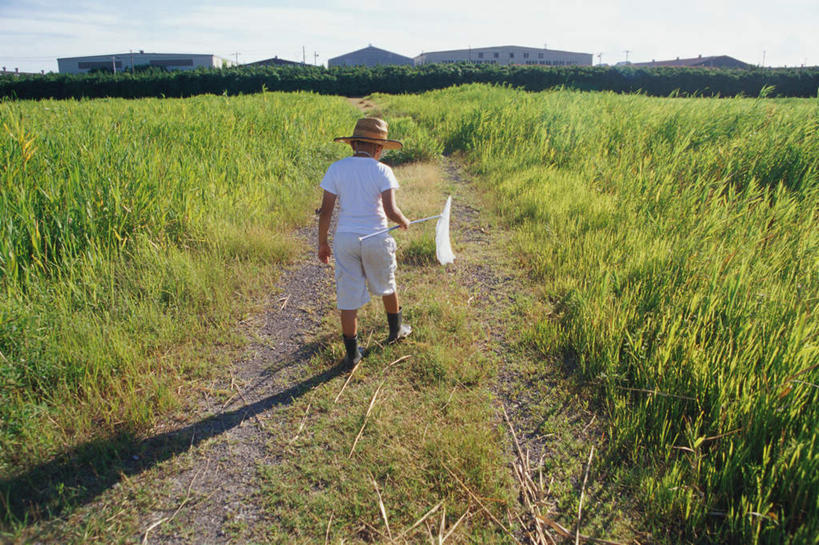 东方人,儿童,一个人,站,横图,室外,白天,纯洁,帽子,亚洲,仅一个男性,仅一个人,戴,服装,草帽,捕虫网,拿,拿着,注视,休闲装,黄种人,小孩,背面,衣服,蓝色,蓝天,天空,天,观察,看,站着,仅一个小孩,休闲,休闲服,可爱,童年,童趣,服饰,观看,扫网,水网,戴着,察看,关注,童真,烂漫,无邪,扑网,天真,男孩,男人,男性,亚洲人,孩子,站立,彩图,全身,男生