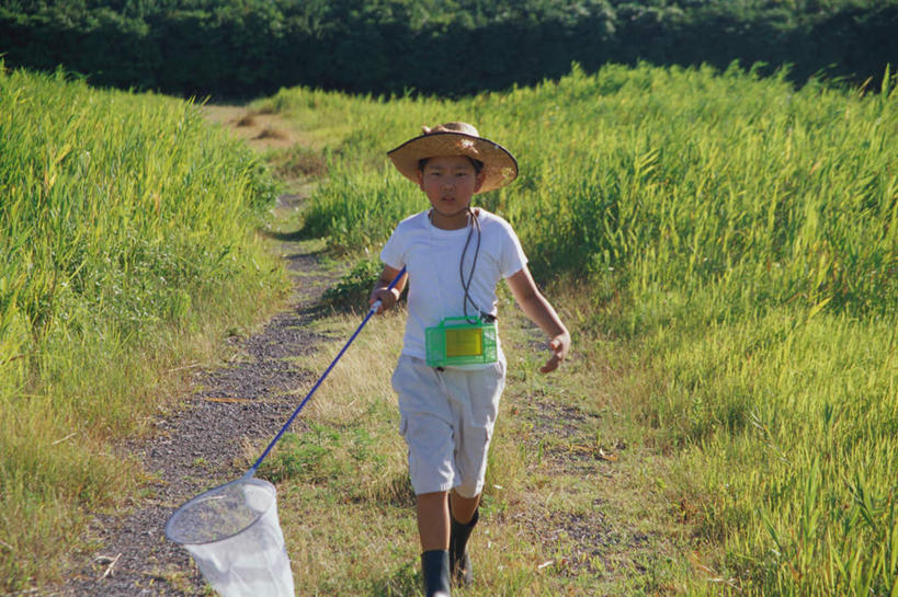 东方人,儿童,一个人,站,横图,室外,白天,正面,纯洁,道路,路,帽子,亚洲,仅一个男性,仅一个人,戴,服装,草帽,小路,捕虫网,交通,拿,拿着,注视,休闲装,黄种人,小孩,衣服,观察,看,站着,仅一个小孩,休闲,休闲服,可爱,童年,童趣,服饰,观看,扫网,水网,戴着,察看,关注,童真,烂漫,无邪,扑网,天真,男孩,男人,男性,亚洲人,孩子,站立,半身,彩图,男生