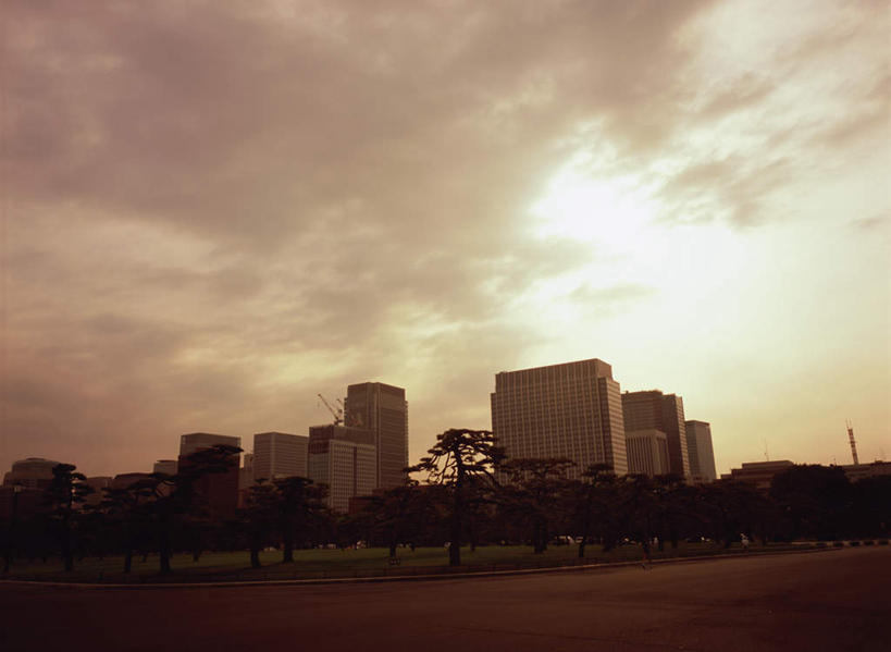 无人,高楼大厦,横图,室外,白天,仰视,度假,美景,日落,植物,城市风光,城市,大厦,道路,建筑,路,摩天大楼,公路,东京,日本,亚洲,阴影,光线,影子,景观,晚霞,霞光,云,云朵,交通,背光,云彩,娱乐,树,树木,绿色,白云,阳光,自然,黄昏,享受,休闲,景色,彩霞,放松,生长,成长,逆光,东亚,本州,关东地方,本州岛,日本国,东京都,夕阳,马路,彩图,低角度拍摄,大楼,高层建筑,高楼,摩天楼