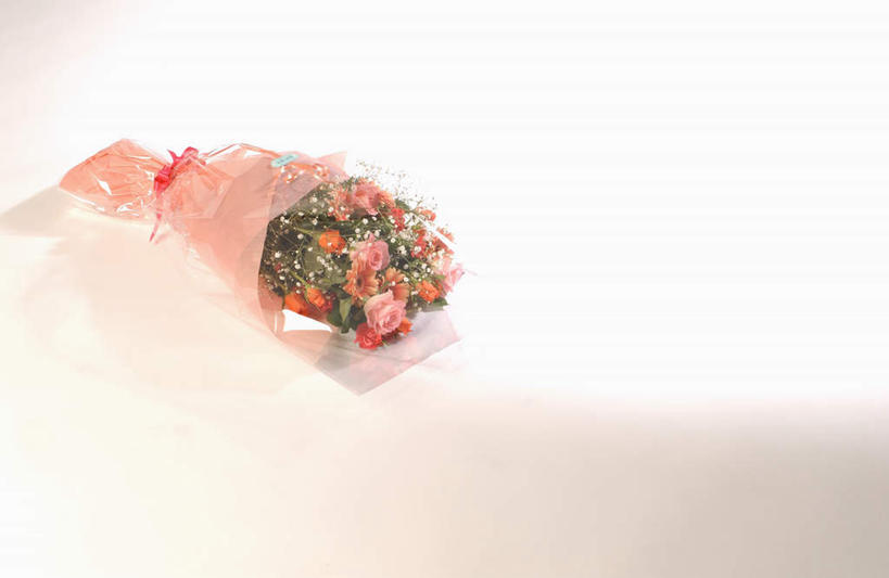 无人,横图,俯视,室内,白天,白色背景,爱情,幸福,纯洁,热情,玫瑰,盛开,玫瑰花,浪漫,花蕾,花,花瓣,花朵,鲜花,花束,花苞,花蕊,一束,温暖,温馨,恩爱,摄影,影棚,和睦,感动,尊敬,天真,刺玫花,徘徊花,彩图,高角度拍摄,影棚拍摄,拍摄,融洽