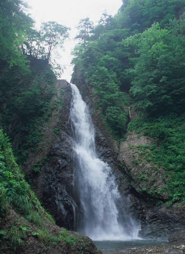 无人,竖图,室外,白天,仰视,旅游,度假,美景,瀑布,森林,树林,水,植物,日本,亚洲,飞溅,溅,液体,景观,娱乐,树,树木,绿色,自然,享受,休闲,景色,放松,生长,成长,喷洒,自然风光,东亚,本州,本州岛,日本国,青森,青森县,东北地方,白神山地,跌水,彩图,低角度拍摄