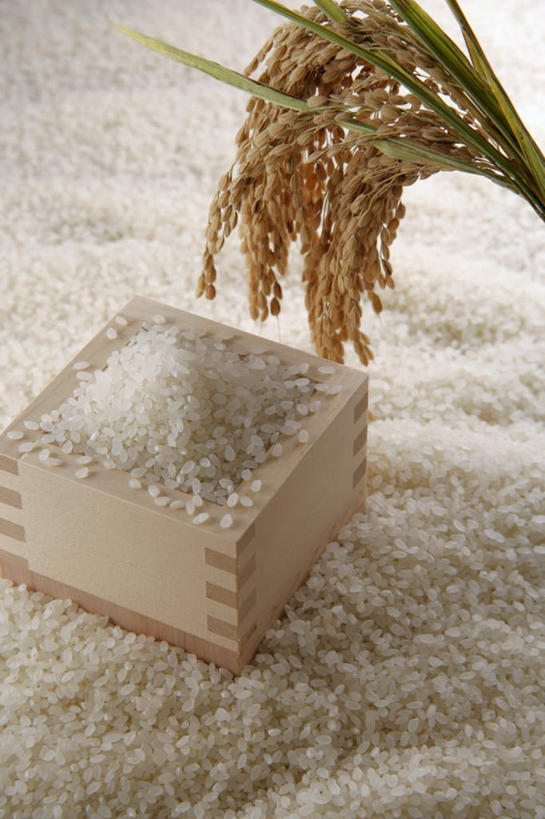 无人,竖图,俯视,室内,特写,白天,烹饪,一堆,堆叠,堆积,木制,谷类,谷物,日本料理,料理,食品,稻穗,米,杯,大米,菜肴,美食,食物,一个,日式料理,日式,摄影,佳肴,影棚,单个,堆,生米,彩图,高角度拍摄,影棚拍摄,拍摄