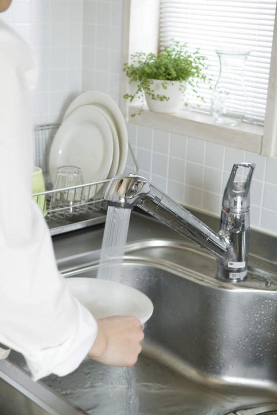 东方人,一个人,站,竖图,室内,白天,水,植物,厨房,餐具,亚洲,仅一个年轻女性,仅一个女性,仅一个人,洗,飞溅,溅,碟子,盘,盆栽,水槽,水龙头,液体,水滴,盆景,拿,拿着,黄种人,开关,水珠,背面,绿色,自然,盘子,碟,打开,清洁,站着,生长,成长,阀门,开启,喷洒,水咀,年轻女性,女人,女性,亚洲人,清洗,站立,半身,彩图,灶间