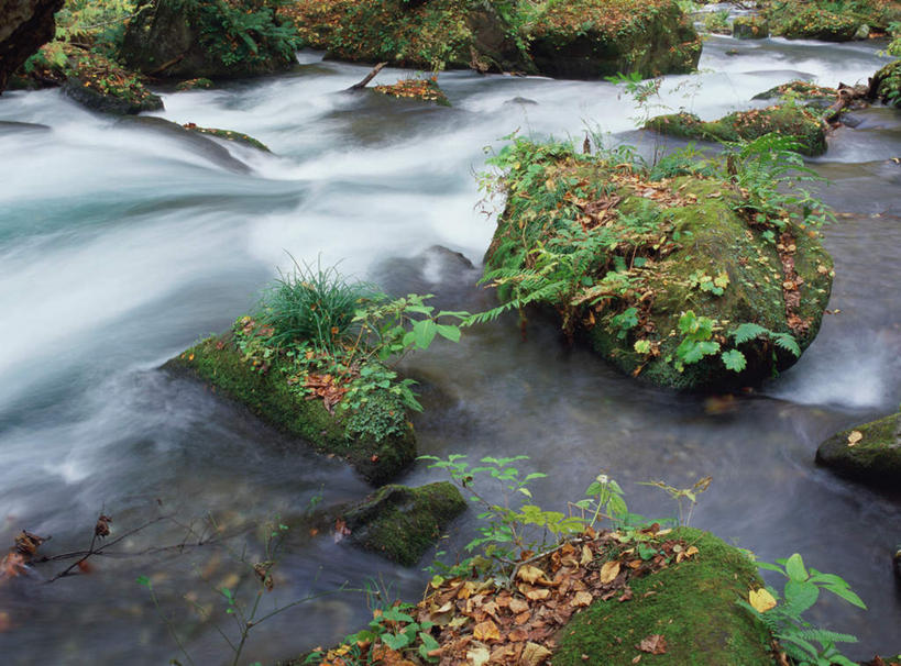无人,横图,室外,白天,正面,旅游,度假,草地,河流,石头,美景,水,植物,日本,亚洲,石子,河水,景观,水流,娱乐,草,绿色,自然,享受,休闲,景色,放松,自然风光,东亚,本州,本州岛,日本国,青森,青森县,东北地方,石块,岩石,彩图