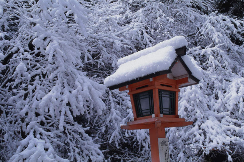 无人,寺庙,横图,室外,白天,正面,旅游,度假,名胜古迹,树林,雪,植物,大雪,标志建筑,地标,建筑,路灯,叶子,京都,日本,亚洲,节日,遗迹,积雪,雪景,冬季,冬天,下雪,灯光,寒冬,古迹,文化,文物,娱乐,建设,古建筑,灯,树,树木,自然,庙宇,祈祷,享受,休闲,健康,旅游胜地,放松,寒冷,许愿,宗教,佛教,信仰,京都府,纪念,祈求,冰冷,照明设备,古文明,东亚,本州,本州岛,日本国,近畿地方,近畿,严寒,冰凉,酷寒,凛冽,凛凛,极冷,释教,左京区,鞍马寺,平安,叶,叶片,彩图,庙,寺