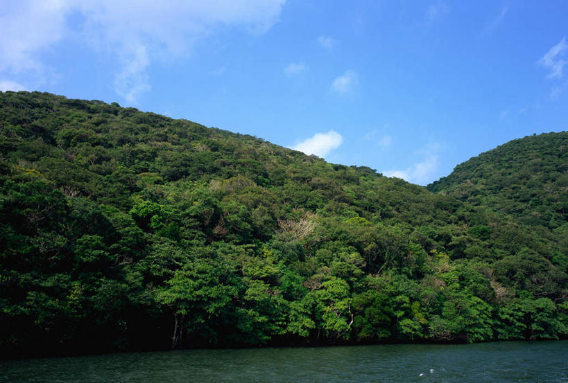 无人,横图,室外,白天,正面,旅游,度假,海浪,海洋,美景,树林,植物,日本,亚洲,阴影,光线,影子,景观,浪花,云,云朵,云彩,娱乐,冲绳,树,树木,蓝色,绿色,白云,蓝天,天空,阳光,自然,海水,天,享受,休闲,景色,放松,生长,晴朗,成长,冲绳县,自然风光,海景,东亚,琉球群岛,日本国,九州地方,八重山群岛,西表岛,大海,风浪,海,海水的波动,近岸浪,涌浪,晴空,彩图