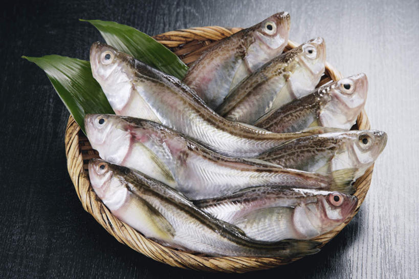 海鲜,无人,交叉,横图,俯视,室内,特写,白天,竹子,叶子,一排,阴影,黑色背景,竹制,整齐,装饰,编织,光线,鱼,篮子,影子,绿叶,水产,鱼类,海洋生物,排列,竹篮,嫩叶,摄影,影棚,竹条,华丽,修饰,交织,点缀,竹制品,队列,水生动物,海产品,水生物,海底动物,衬托,美观,雅致,雅观,穿插,叶,叶片,沙鱼,彩图,高角度拍摄,影棚拍摄,拍摄