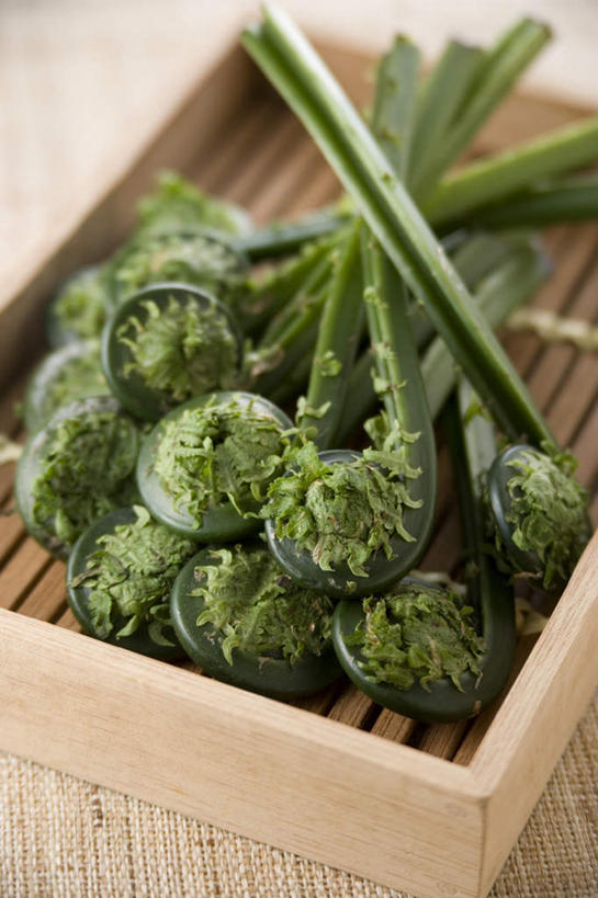 无人,交叉,竖图,俯视,室内,特写,白天,烹饪,桌面,桌子,竹子,蔬菜,阴影,竹制,新鲜,编织,光线,木制,篮子,影子,日本料理,食品,菜肴,美食,食物,木制品,竹篮,日式料理,佳肴,有机食品,绿色食品,竹条,野菜,交织,竹制品,穿插,彩图,高角度拍摄