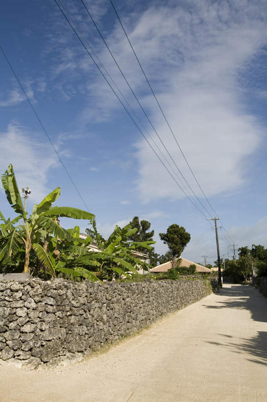 无人,竖图,室外,白天,正面,旅游,度假,树林,植物,道路,路,日本,亚洲,墙,云,云朵,小路,交通,云彩,娱乐,冲绳,石墙,墙壁,墙面,树,树木,蓝色,绿色,白云,蓝天,天空,自然,天,享受,休闲,放松,生长,成长,冲绳县,东亚,琉球群岛,竹富岛,日本国,九州地方,八重山群岛,彩图