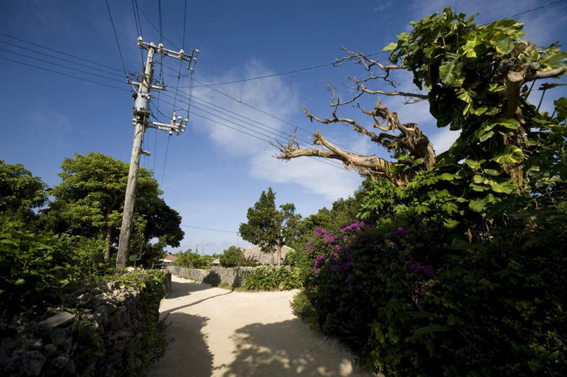 无人,横图,室外,白天,正面,旅游,度假,树林,植物,道路,路,日本,亚洲,墙,云,云朵,小路,交通,云彩,娱乐,冲绳,石墙,墙壁,墙面,树,树木,蓝色,绿色,白云,蓝天,天空,自然,天,享受,休闲,放松,生长,成长,冲绳县,东亚,琉球群岛,竹富岛,日本国,九州地方,八重山群岛,彩图