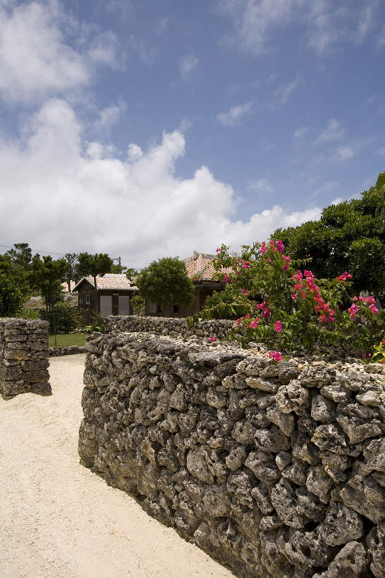 无人,竖图,室外,白天,正面,旅游,度假,美景,植物,叶子,日本,亚洲,阴影,盛开,光线,影子,墙,景观,云,云朵,花蕾,云彩,娱乐,冲绳,石墙,墙壁,墙面,花,花瓣,花朵,鲜花,树,树木,蓝色,绿色,白云,蓝天,天空,阳光,自然,天,花苞,花蕊,享受,休闲,景色,放松,生长,晴朗,成长,冲绳县,自然风光,东亚,琉球群岛,竹富岛,日本国,九州地方,八重山群岛,晴空,彩图