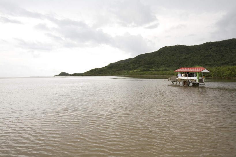无人,家,坐,横图,室外,白天,正面,旅游,度假,海浪,海洋,石头,美景,山,山脉,日本,亚洲,石子,房屋,屋子,景观,浪花,山顶,山峰,云,云朵,山峦,云彩,娱乐,冲绳,楼房,住宅,车,白云,自然,海水,交通工具,群山,享受,休闲,景色,放松,冲绳县,自然风光,海景,东亚,沉积岩,琉球群岛,日本国,九州地方,八重山群岛,颠峰,极峰,水成岩,西表岛,大海,风浪,海,海水的波动,近岸浪,石块,岩石,涌浪,坐着,彩图,房子