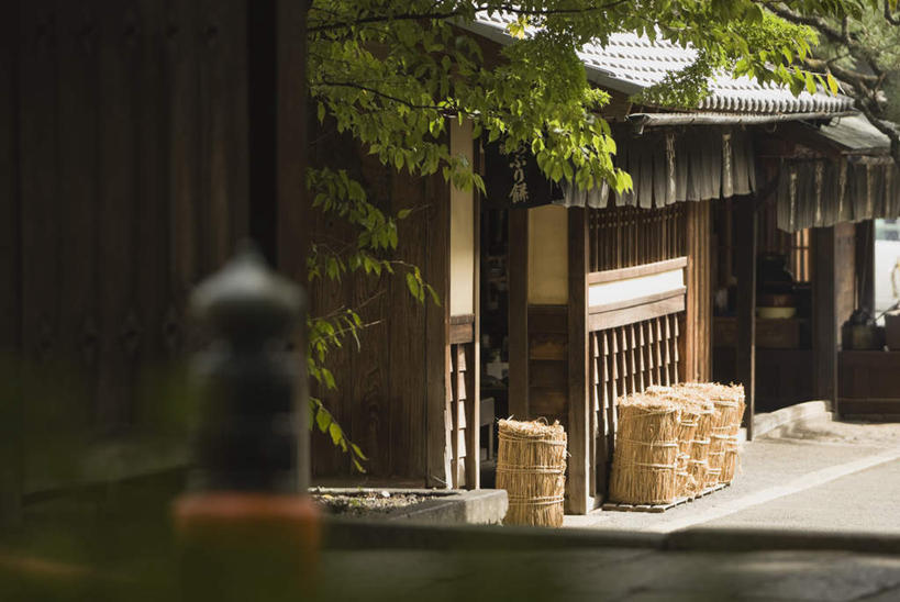 无人,家,横图,室外,白天,正面,旅游,度假,名胜古迹,树林,植物,标志建筑,地标,建筑,日本,亚洲,节日,遗迹,瓦片,房屋,屋檐,屋子,神社,古迹,文化,文物,娱乐,建设,古建筑,楼房,檐,住宅,树,树木,绿色,自然,祈祷,享受,休闲,健康,旅游胜地,放松,许愿,宗教,大阪,信仰,生长,成长,纪念,神道,祈求,祭祀,古文明,东亚,本州,大阪府,本州岛,日本国,近畿地方,近畿,神道教,县厅,大阪市,社屋,今宫戎神社,浪速区,平安,彩图,房子