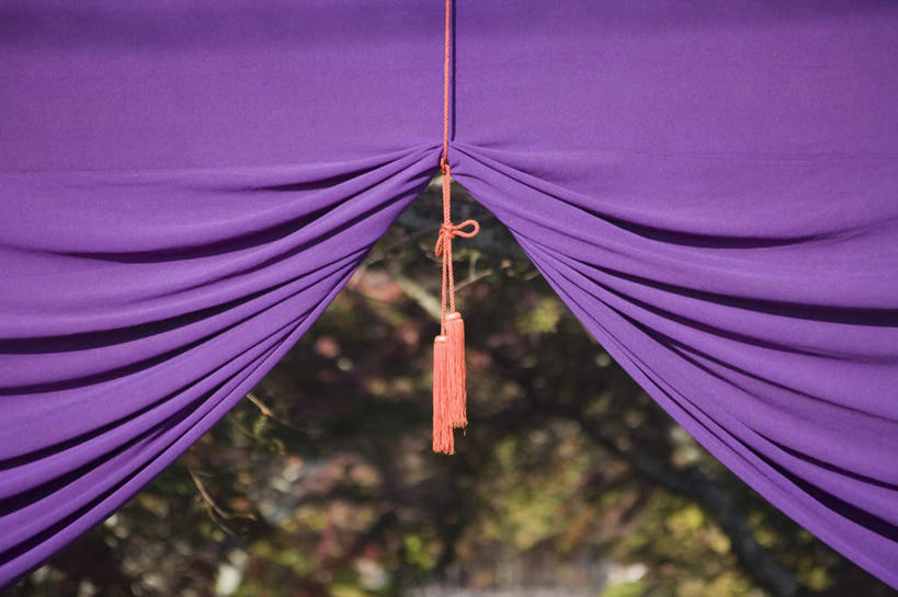 无人,横图,室外,特写,白天,正面,旅游,度假,美景,植物,窗帘,京都,日本,亚洲,朦胧,模糊,景观,娱乐,树,树木,绿色,自然,享受,休闲,景色,放松,流苏,京都府,生长,成长,神殿,自然风光,东亚,本州,穗,本州岛,日本国,近畿地方,近畿,彩图