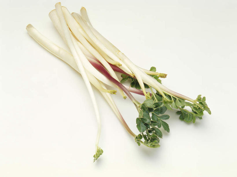 无人,横图,俯视,室内,特写,白天,白色背景,蔬菜,新鲜,食品,食物,摄影,有机食品,绿色食品,影棚,北沙参,北条参,海沙参,莱阳参,辽沙参,珊瑚菜,苏条参,条参,银沙参,彩图,高角度拍摄,影棚拍摄,拍摄