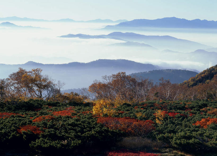 无人,横图,俯视,航拍,室外,白天,旅游,度假,美景,森林,山,树林,植物,长野县,日本,亚洲,景观,山顶,山峰,云,云朵,云海,山峦,云彩,娱乐,树,树木,绿色,白云,自然,享受,休闲,景色,放松,生长,成长,鸟瞰,自然风光,东亚,本州,本州岛,日本国,中部地方,长野,松本市,松本城,彩图,高角度拍摄
