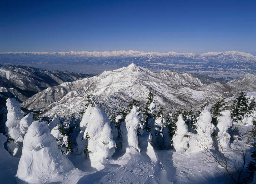无人,横图,俯视,航拍,室外,白天,旅游,度假,美景,森林,山,树林,雪,植物,大雪,长野县,日本,亚洲,积雪,景观,山峰,雪景,冬天,山峦,娱乐,树,树木,蓝色,绿色,蓝天,天空,自然,天,享受,休闲,景色,放松,生长,成长,鸟瞰,自然风光,东亚,本州,本州岛,日本国,中部地方,长野,山之内,山之内町,下高井郡,彩图,高角度拍摄