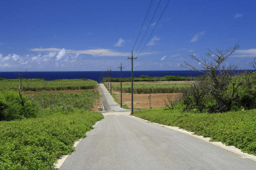无人,横图,室外,白天,正面,旅游,度假,草地,草坪,海浪,海洋,植物,道路,路,公路,日本,亚洲,浪花,水平线,云,云朵,辽阔,交通,海平线,云彩,娱乐,冲绳,草,蓝色,绿色,白云,蓝天,天空,海水,天,享受,休闲,广阔,放松,一望无际,冲绳县,海景,东亚,琉球群岛,竹富岛,日本国,九州地方,八重山群岛,无边无际,一马平川,大海,风浪,海,海水的波动,近岸浪,涌浪,马路,彩图,水天相接,水天一线