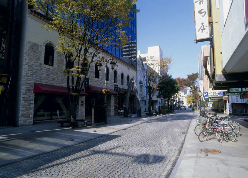 无人,家,横图,室外,白天,仰视,度假,美景,植物,城市风光,城市,道路,路,公路,自行车,日本,亚洲,阴影,反射,标牌,影子,房屋,屋子,景观,交通,娱乐,楼房,招牌,广告,住宅,车,脚踏车,树,树木,蓝色,绿色,蓝天,天空,自然,交通工具,天,享受,休闲,景色,放松,生长,成长,东亚,本州,本州岛,日本国,东北地方,福岛,福岛县,马路,彩图,低角度拍摄,房子