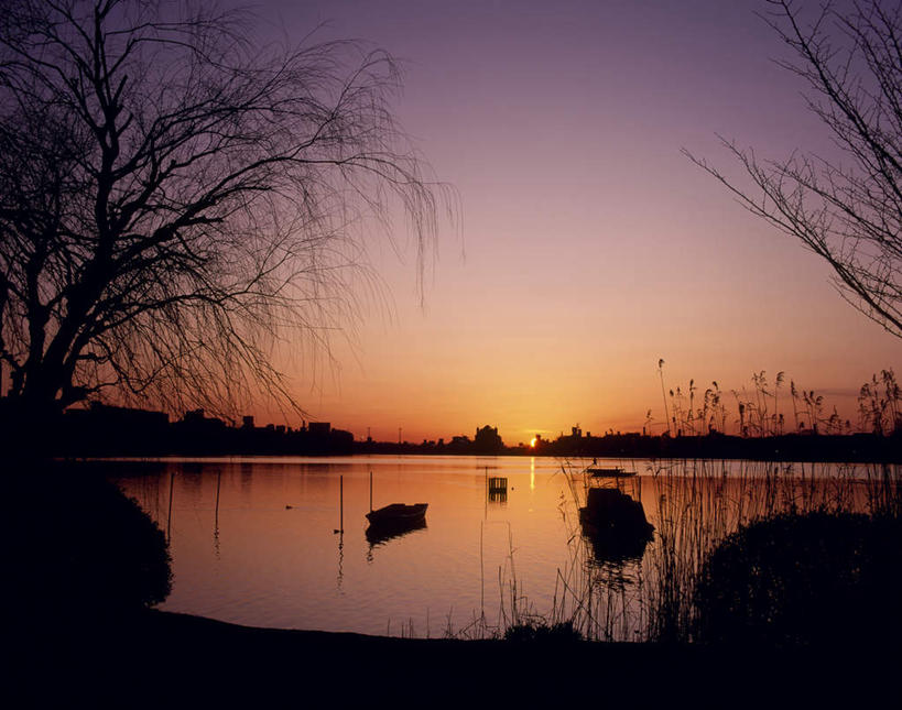 无人,横图,室外,白天,正面,旅游,度假,湖,湖泊,美景,树林,水,植物,船,日本,亚洲,朦胧,模糊,湖面,景观,水流,水面,木船,娱乐,树,树木,绿色,自然,交通工具,湖水,享受,休闲,景色,放松,三条,生长,成长,舟,自然风光,三艘,东亚,本州,茨城,茨城县,关东地方,本州岛,日本国,县厅,彩图,水户,水户市,水戸,水戸市