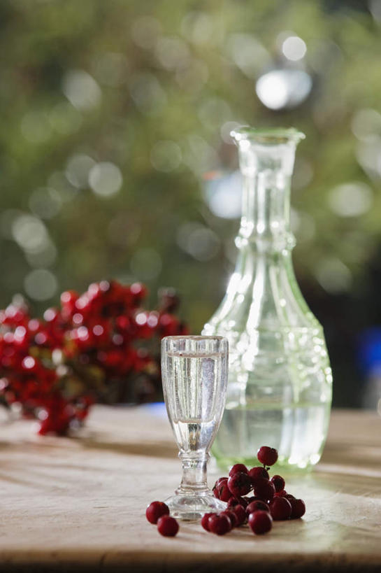 无人,竖图,室外,特写,白天,正面,植物,桌面,桌子,浆果,杯子,水果,一堆,许多,堆叠,堆积,朦胧,模糊,新鲜,木制,铲子,高脚杯,桑葚,桑椹,生食,食品,果实,红酒杯,玻璃制品,树,树木,食物,绿色,自然,酒杯,木制品,瓶子,覆盆子,有机食品,绿色食品,生长,成长,堆,葡萄酒杯,玻璃杯,彩图