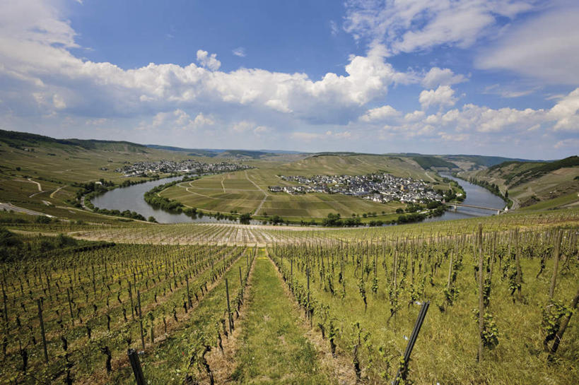 无人,果园,横图,俯视,室外,白天,河流,水,田园,植物,德国,欧洲,曲折,弯曲,地平线,河水,水流,云,云朵,辽阔,果树,地面,云彩,葡萄园,树,树木,蓝色,绿色,白云,蓝天,天空,自然,天,广阔,蜿蜒,生长,晴朗,成长,一望无际,西欧,延伸,德意志联邦共和国,田庄,天地相交,无边无际,一马平川,莱茵兰.普法尔茨州,园子,晴空,彩图,高角度拍摄