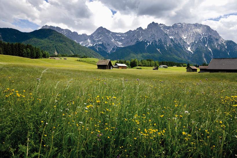 无人,家,木屋,横图,室外,白天,正面,旅游,度假,草地,草坪,花海,花圃,石头,美景,山,山脉,植物,叶子,德国,欧洲,阴影,盛开,光线,石子,影子,景观,山峰,云,云朵,山峦,花蕾,云彩,娱乐,住宅,草,花,花瓣,花朵,花卉,鲜花,树,树木,黄色,蓝色,绿色,白云,蓝天,天空,阳光,自然,花丛,花束,花田,群山,天,花苞,花蕊,享受,休闲,景色,放松,生长,晴朗,成长,西欧,自然风光,德意志联邦共和国,巴伐利亚,巴伐利亚州,拜恩州,拜恩自由州,石块,岩石,晴空,彩图,茅舍,茅屋,棚屋,小木屋,小屋