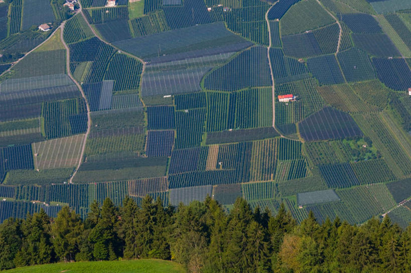 无人,农田,横图,俯视,航拍,室外,白天,度假,庄稼,农作物,草地,草坪,美景,植物,城市风光,城市,意大利,欧洲,连接,组合,景观,娱乐,草,树,树木,绿色,自然,享受,休闲,景色,放松,生长,成长,链接,鸟瞰,南欧,拼接,自然风光,拼凑,意大利共和国,拼合,凑集,聚合,撮合,链结,南蒂罗尔,彩图,高角度拍摄,耕地,庄稼田