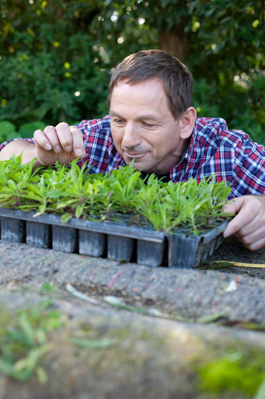 西方人,一个人,农民,站,竖图,室外,白天,正面,森林,树林,植物,叶子,欧洲,欧洲人,仅一个男性,仅一个人,服装,箩筐,绿叶,注视,休闲装,闻,树,树木,仅一个年轻男性,衣服,绿色,自然,观察,看,站着,休闲,休闲服,嫩叶,服饰,观看,察看,关注,男人,男性,年轻男性,白种人,叶,叶片,佃农,农场主,农夫,农工,乡下人,小农,庄稼人,站立,半身,彩图
