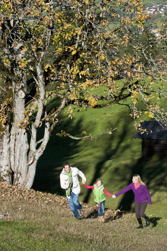 西方人,儿童,中年人,三个人,家庭,夫妻,母亲,父亲,女儿,站,伸展双臂,握手,笑,微笑,露齿笑,竖图,室外,白天,正面,爱情,旅游,度假,纯洁,草地,草坪,美景,植物,奥地利,欧洲,欧洲人,阴影,服装,光线,影子,景观,浪漫,注视,休闲装,娱乐,草,树,树木,小孩,衣服,绿色,阳光,自然,观察,看,站着,享受,休闲,温暖,温馨,父女,母女,三口之家,一家人,休闲服,景色,恩爱,放松,父爱,可爱,母爱,童年,童趣,恋人,服饰,生长,成长,观看,和睦,察看,关注,自然风光,童真,烂漫,无邪,中欧,首府,萨尔斯堡,奥地利共和国,萨尔茨堡,萨尔茨堡州,天真,男人,男性,年轻女性,女孩,女人,女性,中年男性,白种人,孩子,夫妇,情侣,搀手,敞开双臂,拉手,伸开双臂,手搀手,手拉手,手牵手,手握手,展开双肩,站立,张开手臂,张开双臂,彩图,全身,弗拉肖,蓬高地区圣约翰县,伴侣,融洽,女生