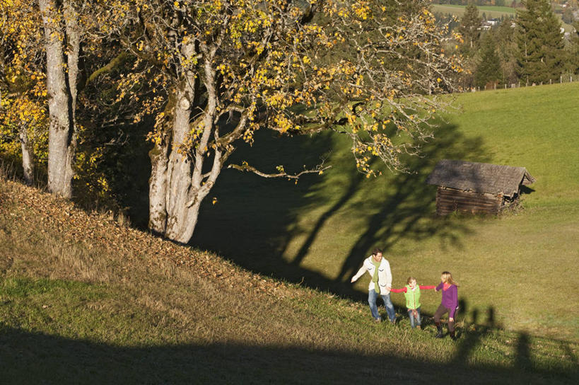 西方人,儿童,中年人,三个人,家庭,夫妻,母亲,父亲,女儿,走,伸展双臂,握手,笑,微笑,露齿笑,横图,俯视,室外,白天,爱情,旅游,度假,纯洁,草地,草坪,美景,植物,奥地利,欧洲,欧洲人,阴影,服装,光线,影子,景观,浪漫,注视,休闲装,娱乐,草,树,树木,小孩,衣服,绿色,阳光,自然,观察,看,享受,休闲,温暖,温馨,父女,母女,三口之家,一家人,休闲服,景色,恩爱,放松,父爱,可爱,母爱,童年,童趣,恋人,服饰,生长,成长,观看,和睦,察看,关注,自然风光,童真,烂漫,无邪,中欧,首府,萨尔斯堡,奥地利共和国,萨尔茨堡,萨尔茨堡州,天真,男人,男性,年轻女性,女孩,女人,女性,中年男性,白种人,孩子,夫妇,情侣,步行,搀手,敞开双臂,拉手,散步,伸开双臂,手搀手,手拉手,手牵手,手握手,展开双肩,张开手臂,张开双臂,走路,彩图,高角度拍摄,全身,弗拉肖,蓬高地区圣约翰县,伴侣,融洽,女生