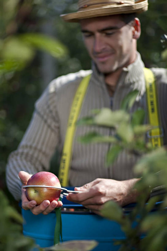 西方人,一个人,果园,站,笑,微笑,竖图,室外,白天,正面,田园,植物,生活用品,苹果,帽子,水果,欧洲,欧洲人,仅一个男性,仅一个人,握,阴影,服装,朦胧,模糊,新鲜,光线,测量,器材,影子,刻度,生食,食品,果实,果树,拿,拿着,注视,休闲装,树,树木,食物,仅一个年轻男性,衣服,绿色,阳光,自然,遮阳帽,观察,看,站着,休闲,休闲服,握着,服饰,有机食品,绿色食品,生长,成长,观看,测量工具,快速,察看,准确,关注,精度,精准,物理,田庄,量具,量仪,一顶,园子,直径,厚度,卡规,男人,男性,年轻男性,白种人,站立,半身,彩图