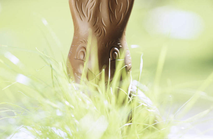 无人,横图,室内,特写,白天,正面,植物,雕塑,复活节,节日,朦胧,模糊,庆祝,兔子,雕刻,盆栽,食品,糖,糖果,甜点,甜品,盆景,文化,食物,绿色,自然,甜食,巧克力,庆典,可爱,生长,成长,纪念,朱古力,黑巧克力,彩图