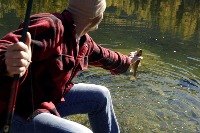 海鲜,西方人,一个人,坐,横图,俯视,室外,白天,旅游,度假,河流,水,欧洲,欧洲人,仅一个男性,仅一个人,仅一个中年男性,阴影,服装,光线,鱼,影子,河水,水流,拿,拿着,注视,休闲装,娱乐,水产,衣服,阳光,低头,观察,看,享受,休闲,休闲服,放松,服饰,观看,察看,关注,海产品,男人,男性,中年男性,白种人,玩耍,坐着,半身,彩图,高角度拍摄