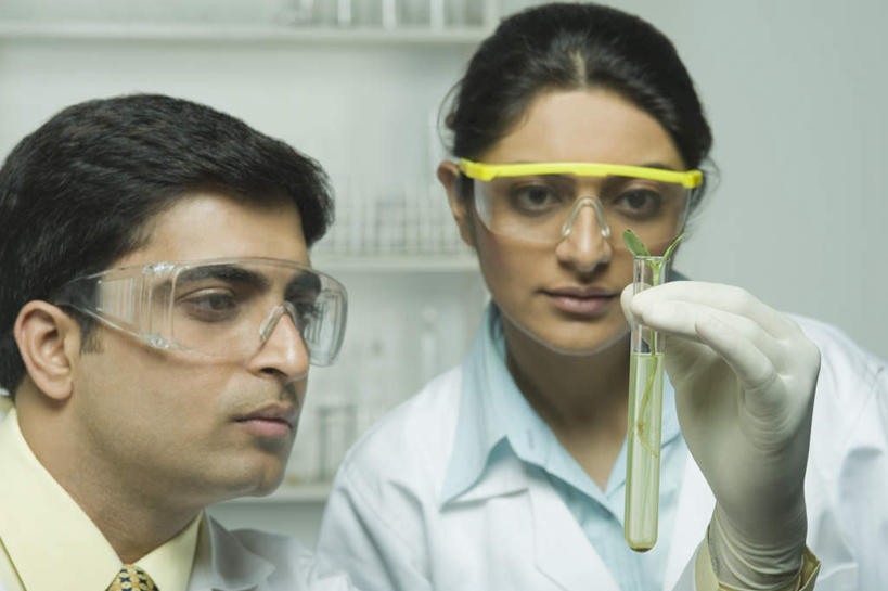 两个人,同事,科学家,坐,横图,室内,白天,正面,工作服,制服,安全,成功,合作,团队,集体,信心,实验,仪器,杯子,亚洲,服装,研究,透明,分析,化学,测试,试管,眼镜,防护,注视,队伍,玻璃制品,衣服,玻璃瓶,瓶子,手套,观察,看,器皿,服饰,观看,护目镜,保护,察看,领导,衣着,成就,穿着,关注,保险,合伙,领袖,计量,科学研究者,玻璃仪器,试验耗材,实验用品,保全,周全,安稳,安定,防护手套,安全防护眼镜,工作制服,衣饰,平安,男人,男性,年轻男性,年轻女性,女人,女性,亚洲人,印度人,科学工作者,玻璃杯,坐着,半身,彩图,工作套服,防护眼镜