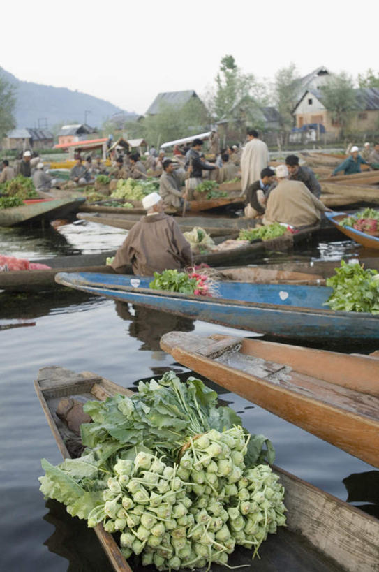 菜场,站,坐,竖图,室外,白天,购物,消费,河流,山,山脉,水,植物,萝卜,胡萝卜,蔬菜,亚洲,波纹,飞溅,服装,新鲜,溅,液体,河水,山峰,水滴,水流,青菜,食品,集市,市场,山峦,许多人,注视,休闲装,水珠,树,树木,食物,背面,衣服,蓝色,绿色,蓝天,水纹,天空,自然,船尾波,波浪,群山,天,观察,看,站着,一群人,休闲,休闲服,金融,服饰,有机食品,绿色食品,生长,晴朗,成长,观看,察看,关注,喷洒,小白菜,选购,贸易,万里无云,不结球白菜,菜市,男人,男性,中年男性,亚洲人,印度人,晴空,晴空万里,红萝卜,甘荀,站立,坐着,彩图,全身,菜市场