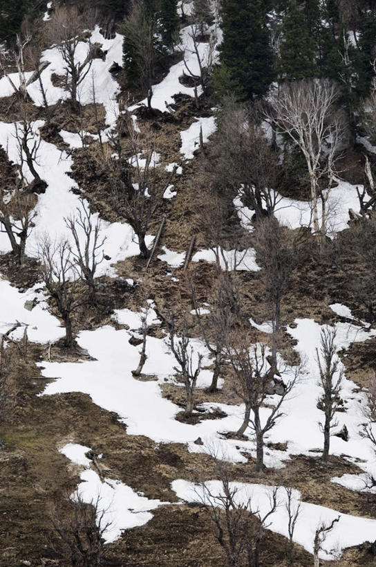 无人,竖图,俯视,室外,白天,旅游,度假,湖,湖泊,美景,山,山脉,水,雪,植物,大雪,印度,亚洲,湖面,积雪,景观,山峰,水流,水面,雪景,冬季,冬天,山峦,娱乐,树,树木,绿色,自然,湖水,群山,享受,休闲,景色,放松,寒冷,生长,成长,自然风光,南亚,印度共和国,严寒,查谟.克什米尔,查谟.克什米尔邦,彩图,高角度拍摄