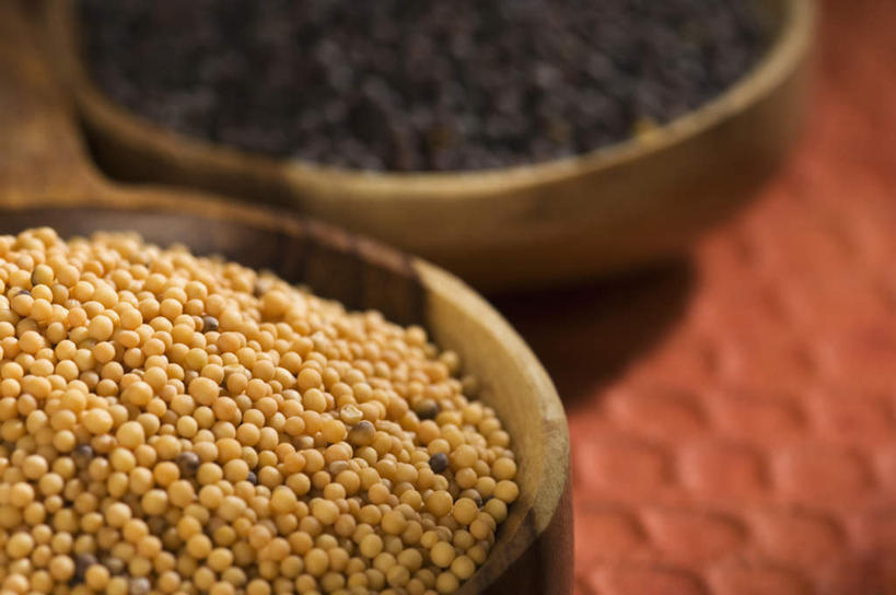 芥末,无人,横图,俯视,室内,特写,白天,一堆,许多,堆叠,堆积,红色背景,朦胧,模糊,勺子,调料,香料,调味品,调羹,汤匙,摄影,影棚,堆,山葵,泽山葵,溪山葵,芥子末,山嵛菜,芥辣粉,哇沙比,辣根,彩图,高角度拍摄,影棚拍摄,拍摄