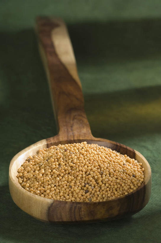 芥末,无人,竖图,室内,特写,白天,正面,桌面,桌子,一堆,绿色背景,阴影,堆叠,堆积,反射,木制,粉末,影子,勺子,木制品,调羹,汤匙,粉,摄影,影棚,堆,山葵,泽山葵,溪山葵,粉状,粉剂,芥子末,山嵛菜,芥辣粉,哇沙比,辣根,彩图,影棚拍摄,拍摄