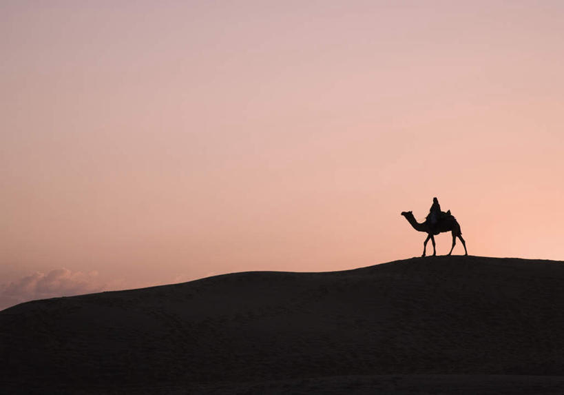 一个人,坐,横图,室外,白天,侧面,旅游,度假,美景,日落,沙漠,野生动物,亚洲,仅一个男性,仅一个人,景观,晚霞,霞光,背光,注视,娱乐,骆驼,仅一个年轻男性,自然,黄昏,动物,观察,看,享受,休闲,景色,彩霞,放松,运输,观看,察看,关注,自然风光,逆光,沙漠之舟,单峰骆驼,男人,男性,年轻男性,亚洲人,印度人,大漠,砂漠,夕阳,玩耍,坐着,彩图,全身