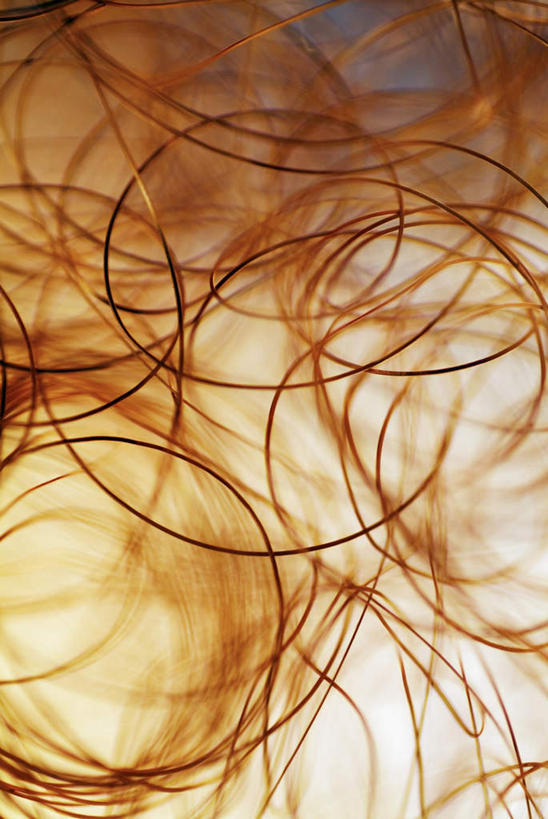 无人,竖图,室内,特写,白天,正面,阴影,朦胧,模糊,环绕,缠绕,反射,螺旋,线条,影子,红色,庞大,复杂,纠缠,繁杂,流畅,彩图