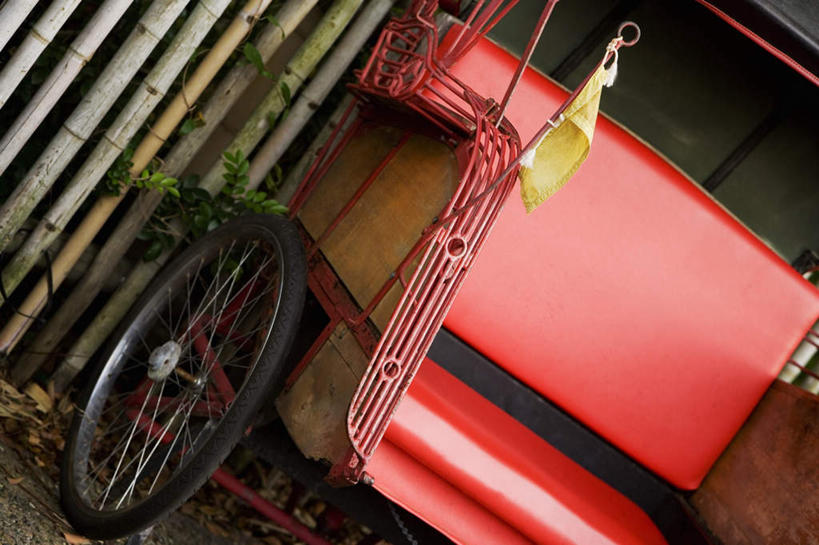 无人,栏杆,横图,室外,白天,正面,植物,叶子,一辆,栅栏,篱笆,围栏,三轮车,绿叶,护栏,车,脚踏车,红色,绿色,黑色,自然,轮胎,交通工具,嫩叶,橡胶,生长,成长,载具,橡胶制品,车胎,叶,叶片,彩图,外胎