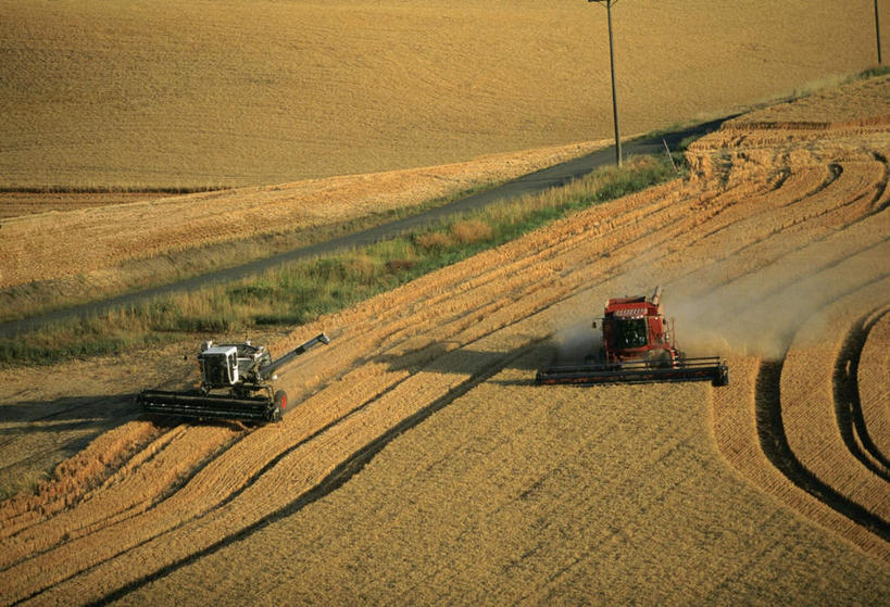 无人,农田,横图,俯视,航拍,室外,白天,旅游,度假,农业,庄稼,农作物,美景,汽车,美国,两辆,阴影,光线,影子,景观,首都,麦田,娱乐,车,阳光,自然,交通工具,驾驶,行驶,享受,休闲,机械,景色,放松,操纵,灰尘,尘土,控制,北美,北美洲,鸟瞰,自然风光,载具,飞扬,拖拉机,美洲,操控,华盛顿特区,华盛顿哥伦比亚特区,华府,北亚美利加洲,亚美利加洲,把持,交通运输,农用机械,飞腾,彩图,高角度拍摄,耕地,庄稼田