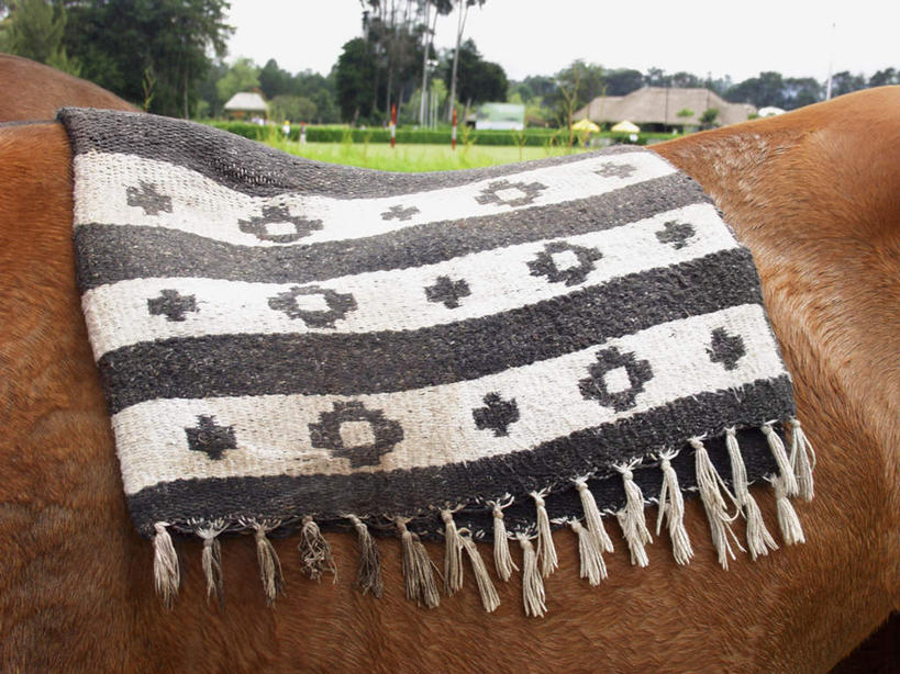 无人,横图,室外,特写,白天,侧面,草地,草坪,美景,植物,马,野生动物,景观,一匹,座位,马鞍,草,树,树木,绿色,自然,动物,景色,运输,牲畜,生长,成长,自然风光,马具,半身,彩图