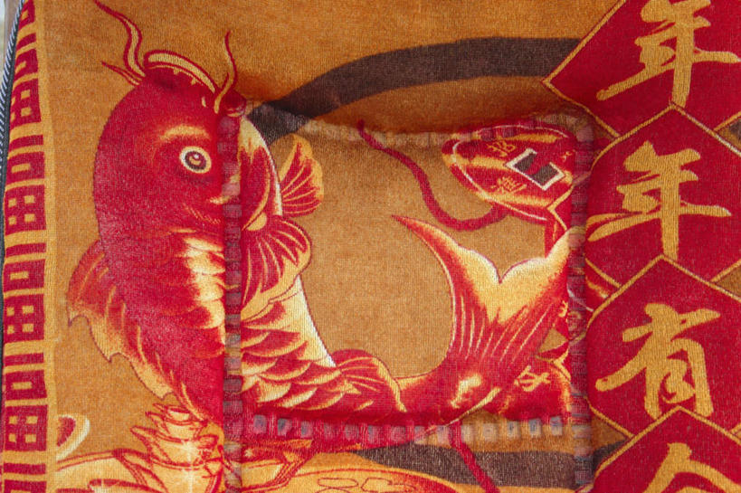 无人,横图,室内,特写,白天,正面,鲤鱼,静物,中国,亚洲,阴影,反射,鱼,标志,文字,影子,字符,床单,注视,标识,鱼类,观察,看,汉字,观看,察看,关注,中文,东亚,陕西,陕西省,中华人民共和国,国文,华文,西北地区,陕,鲤子,鲤拐子,半身,彩图